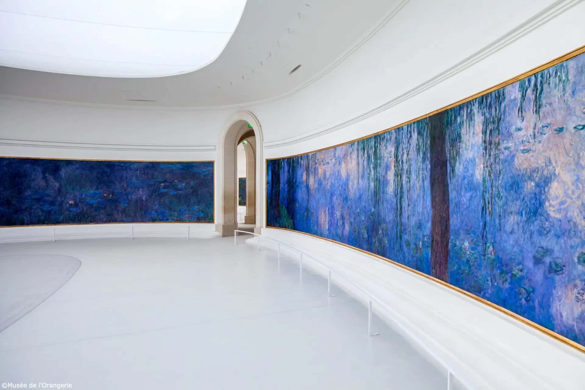 Gallery image 5