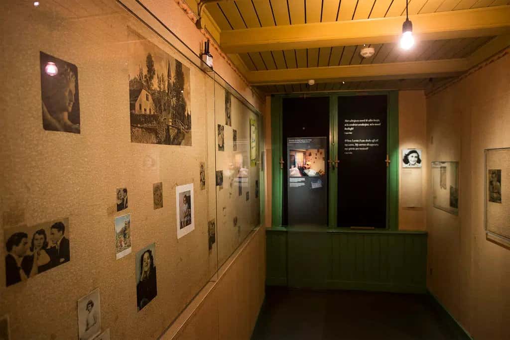 Gallery image 4