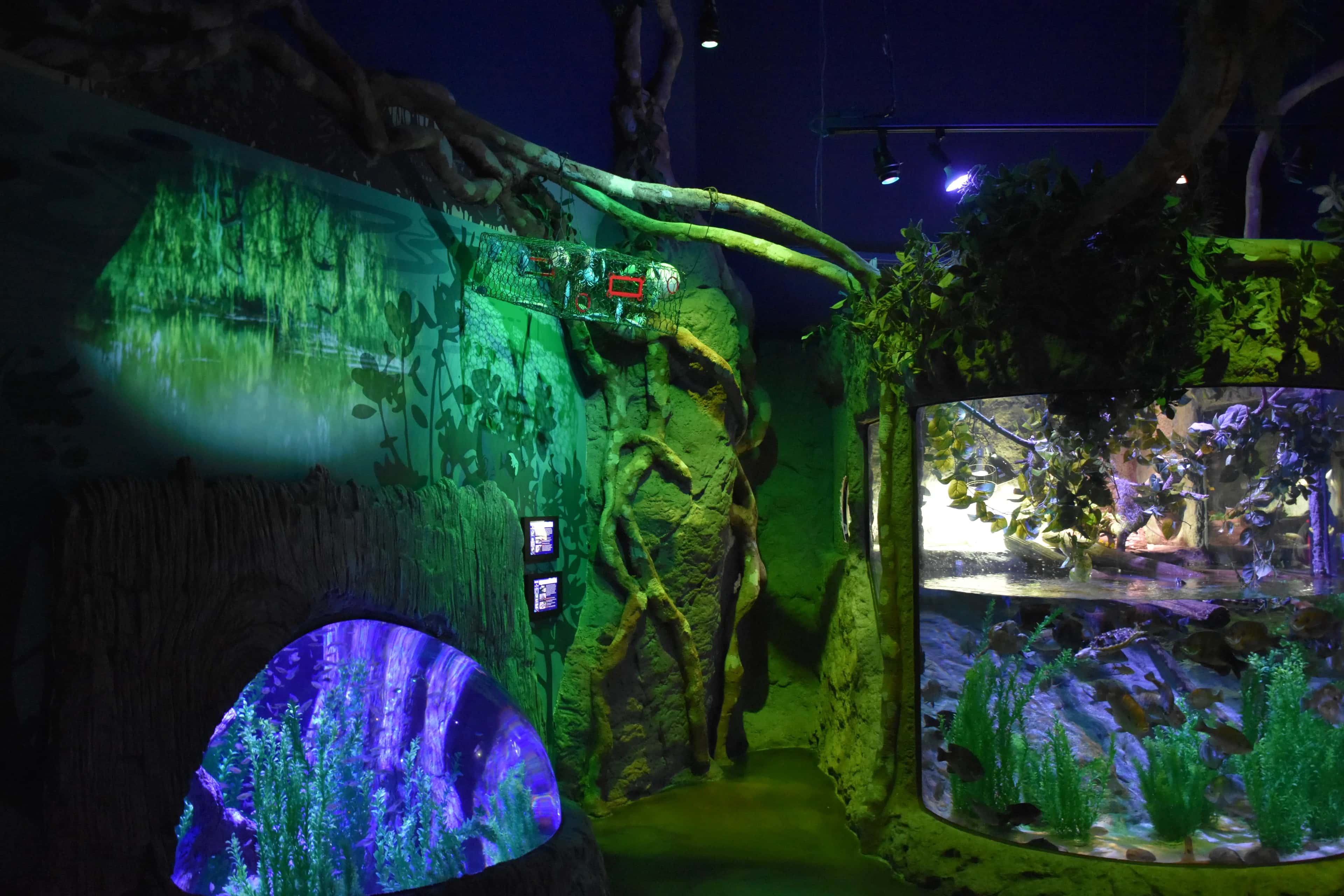 Gallery image 2