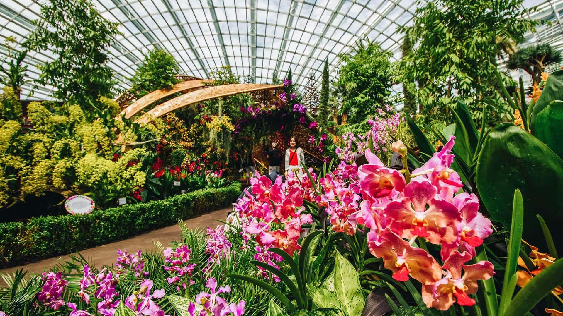 Gallery image 4