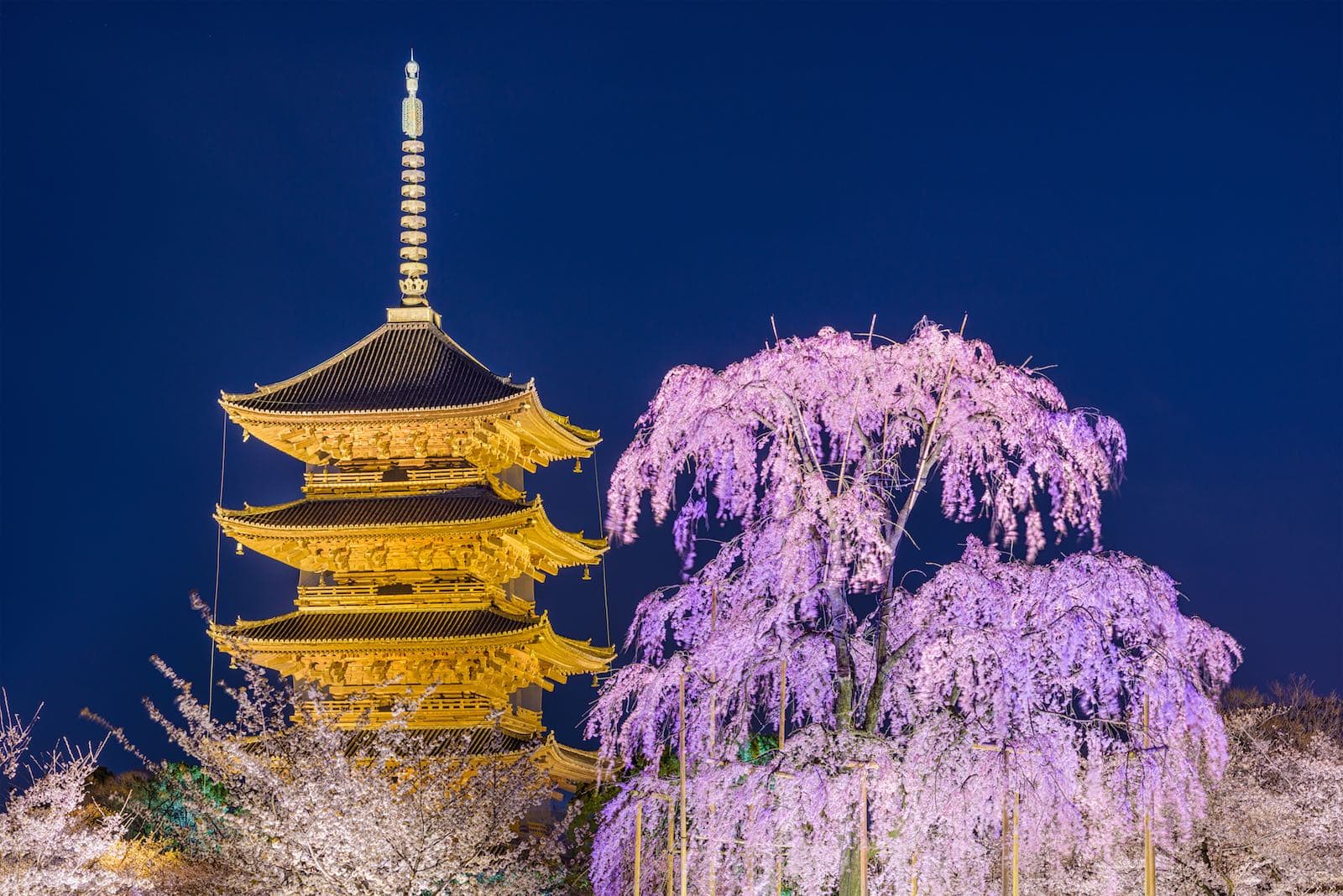 Japan Kyoto To-ji Temple Entry Tickets