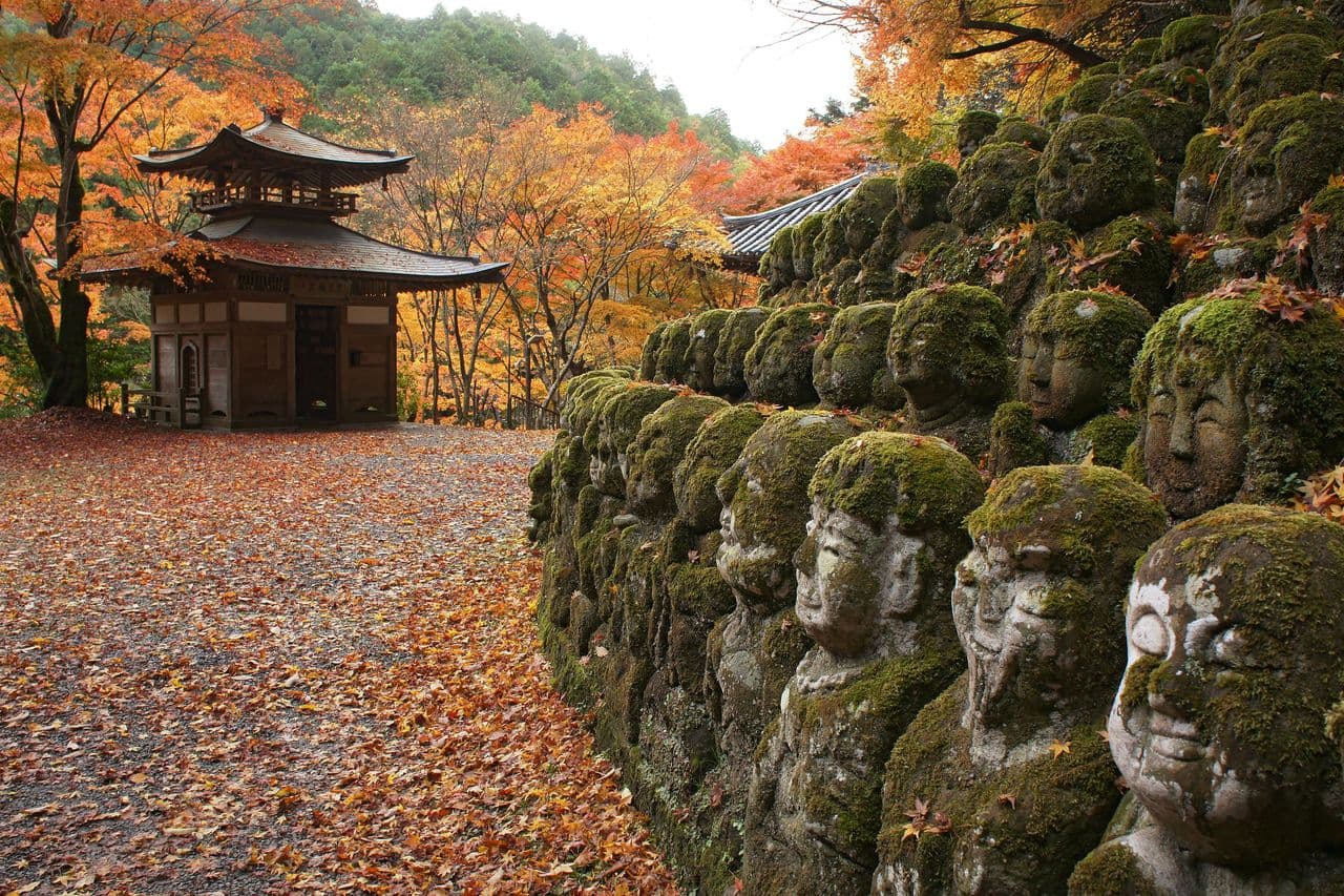 Japan Kyoto Otagi Nenbutsuji Temple Entry Tickets