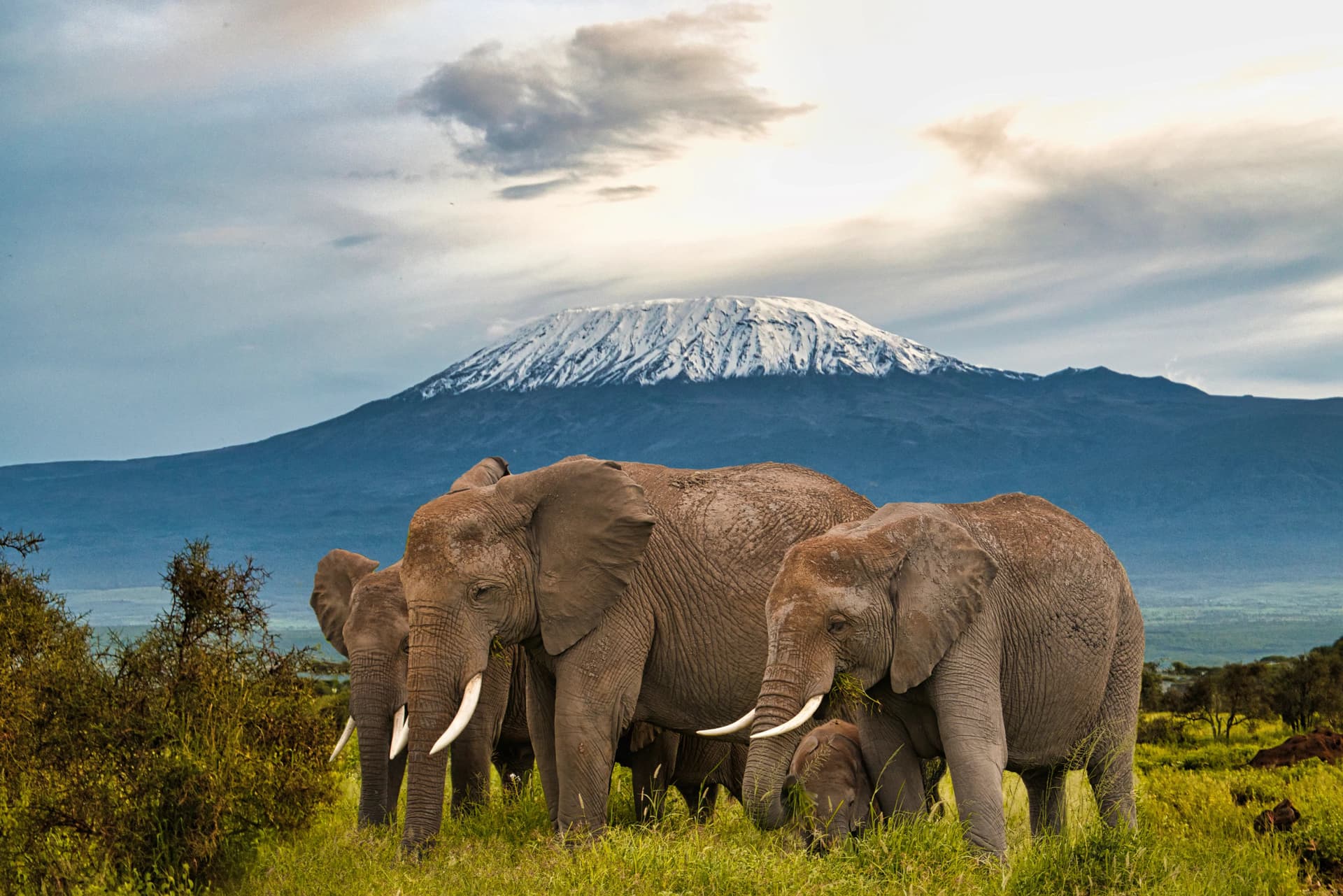 Day 2 – Image 1