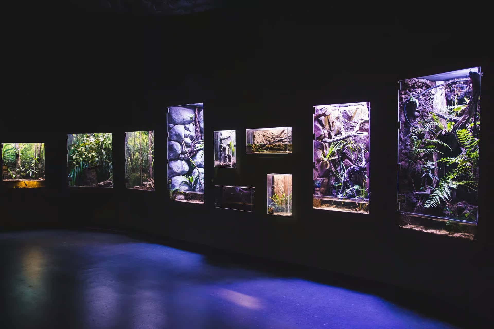 Gallery image 3
